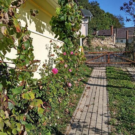 Lately Renovated Country House Trencin Exterior photo
