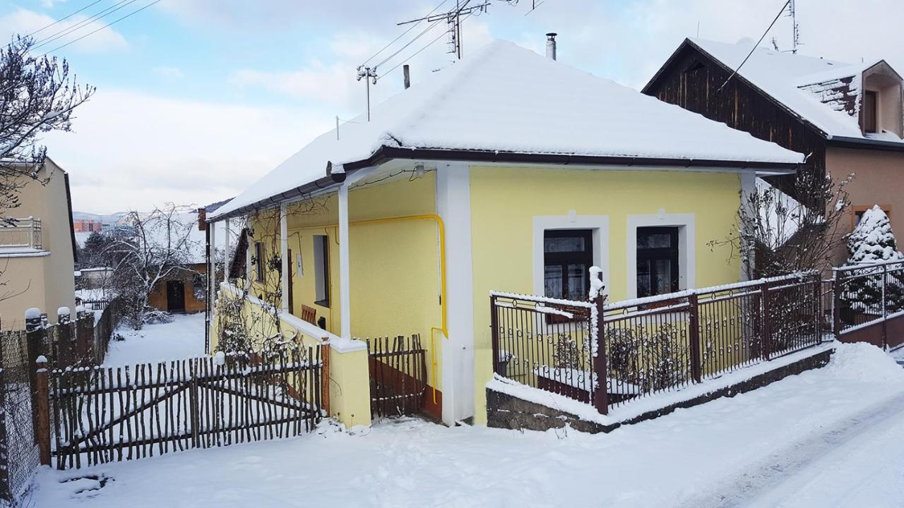Lately Renovated Country House Trencin Exterior photo