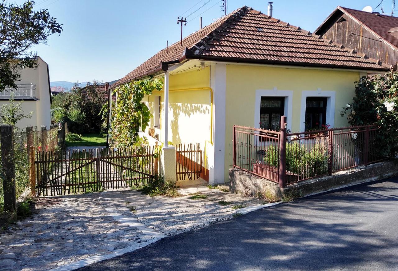 Lately Renovated Country House Trencin Exterior photo